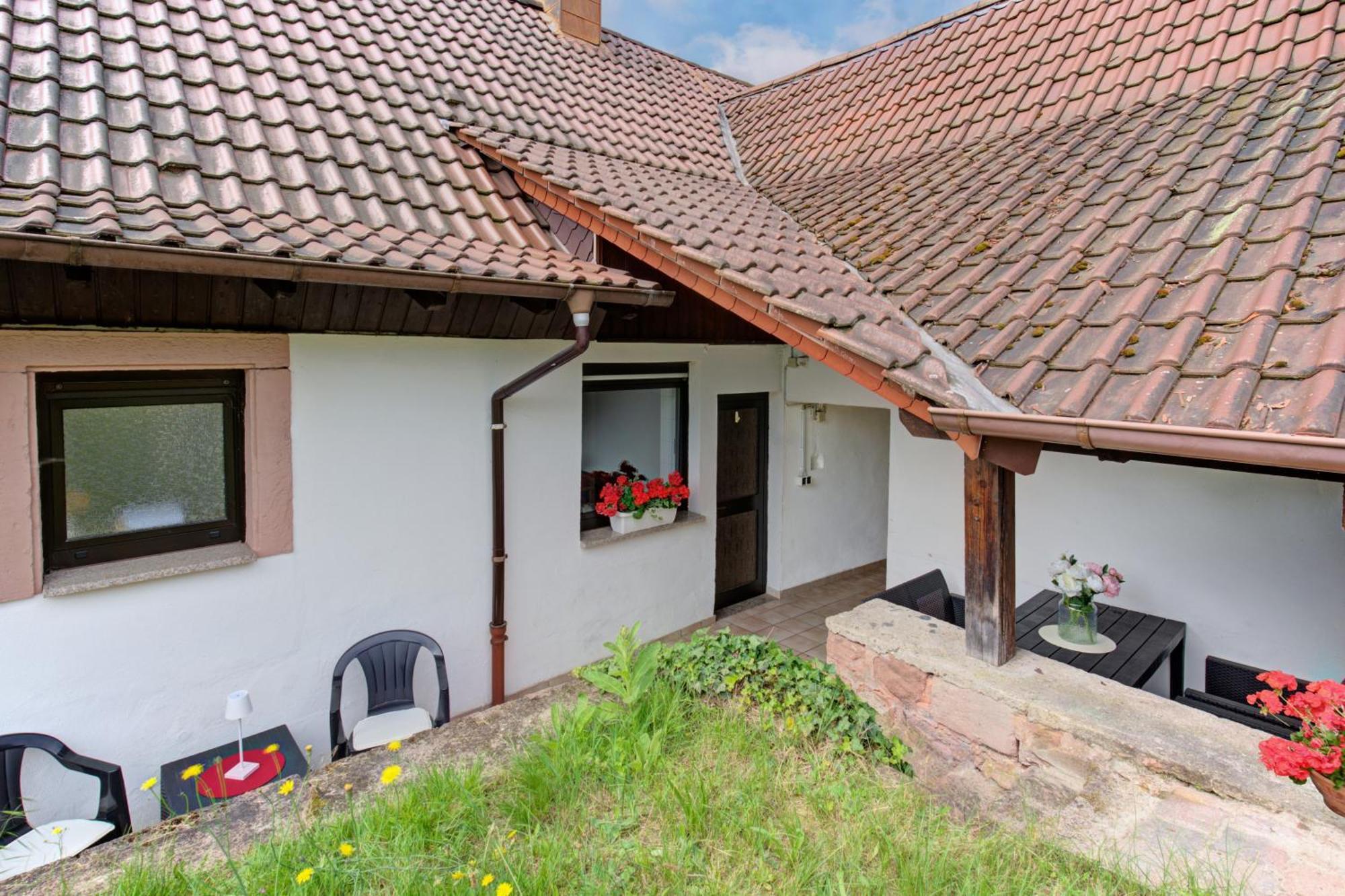Apartment Landhotel Zum Storchennest Bann Экстерьер фото